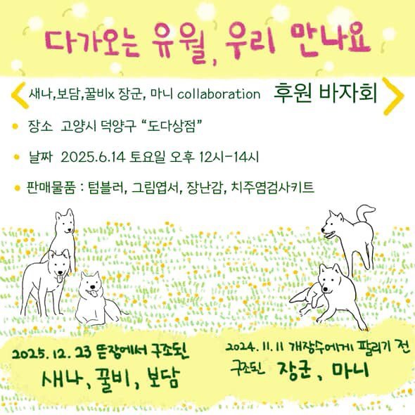 news.notice.title_dodastore